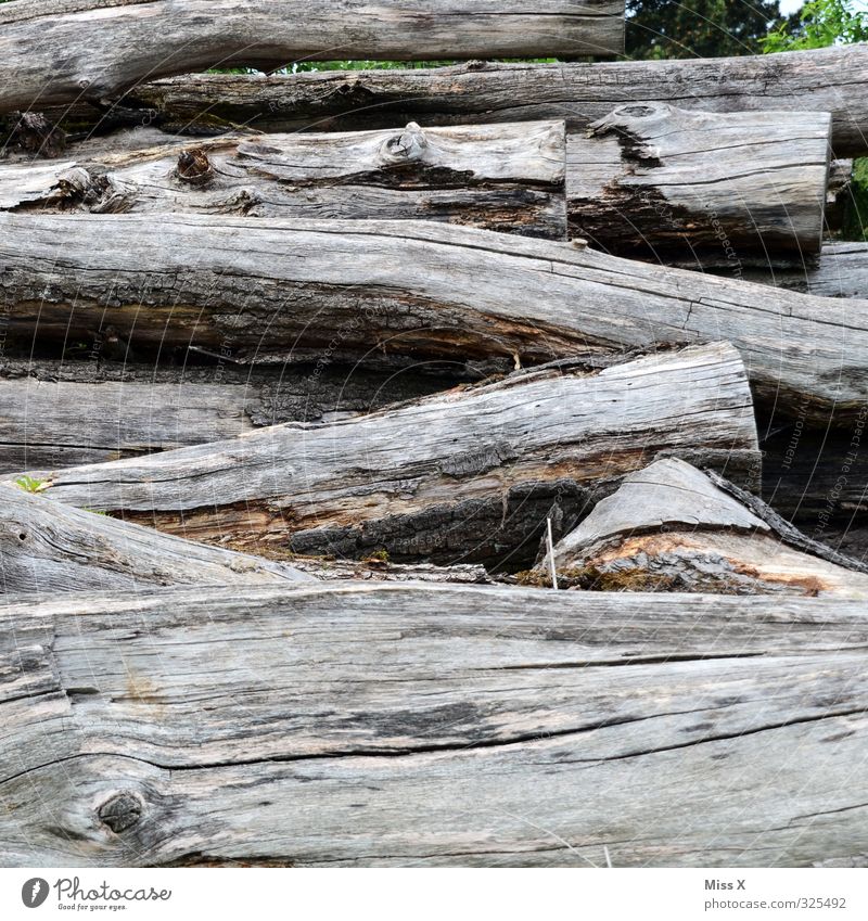 Building material | even more wood Tree Wood Old Firewood Tree trunk Saw mill Subdued colour Exterior shot Deserted Copy Space bottom