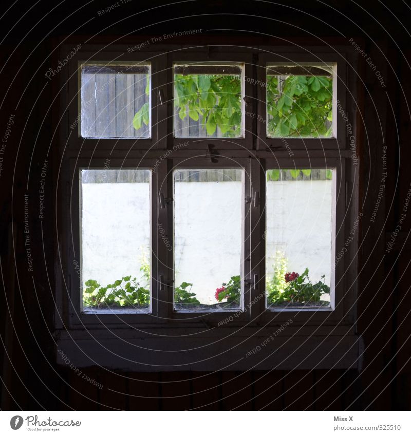 window II Living or residing Flat (apartment) Garden House (Residential Structure) Hut Window Old Dark Cobwebby Penitentiary View from a window Window pane