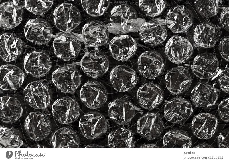 Plump foil Plastic Glittering Environmental pollution Packaging material pop film Bubble wrap Box up Subdued colour Studio shot Close-up Detail Plop film