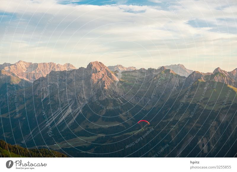 Flight climate-neutral Paragliding Alps Mountain Aircraft Flying Free Red Joy Freedom Calm Colour photo Exterior shot Evening Sunlight Panorama (View)