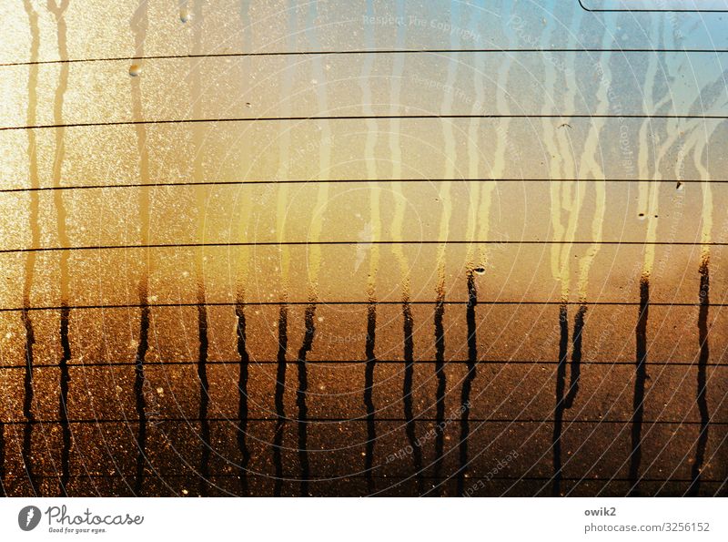 vapour trails Drops of water Car Rear Window Glass Illuminate Wet Blue Yellow Orange Black Melt Tracks Line Parallel Heating Puzzle Unclear window heater Hazy