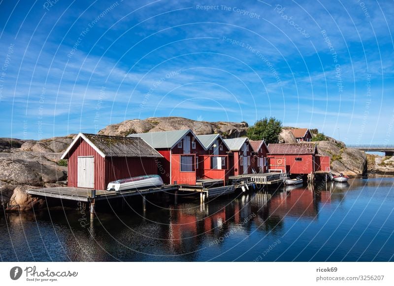 View of the village Smögen in Sweden Relaxation Vacation & Travel Tourism Summer Ocean House (Residential Structure) Nature Landscape Water Clouds Rock Coast