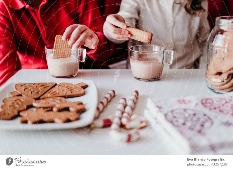 beautiful brother and sister at home having a delicious snack. Christmas concept Snack Cookie Candy Brother Sister siblings Christmas & Advent Home Blonde