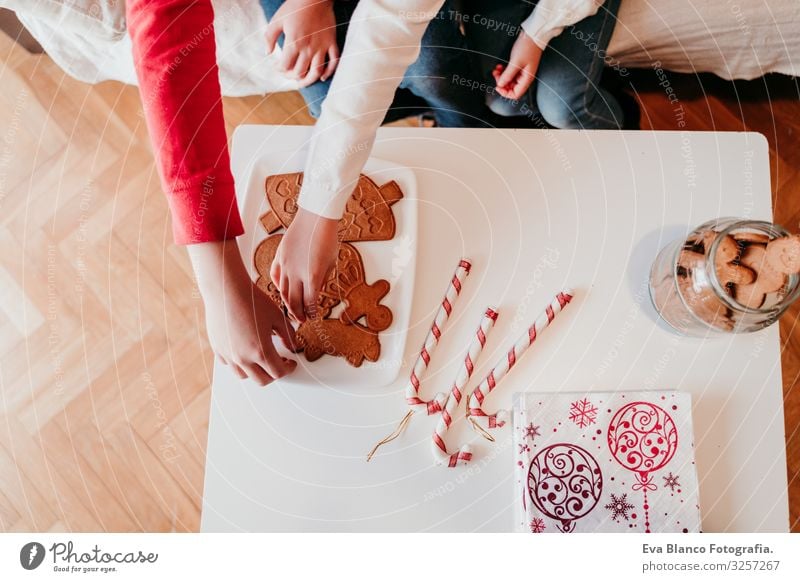 beautiful brother and sister at home having a delicious snack. Christmas concept Snack Cookie Candy Brother Sister siblings Christmas & Advent Home Blonde