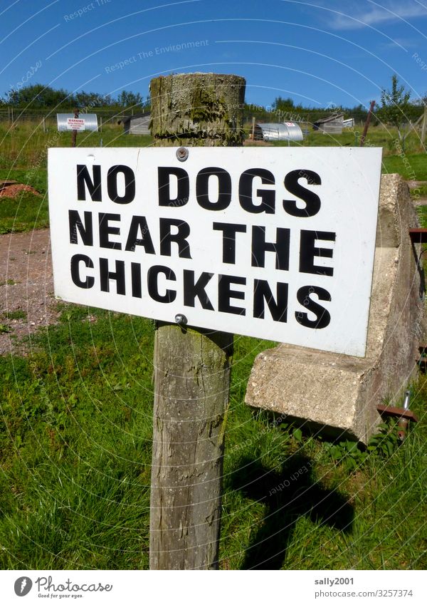 Written | clear statement... Characters Signs and labeling Signage Warning sign Aggression Threat Surveillance Bans Agriculture Farm Clue Poultry farm