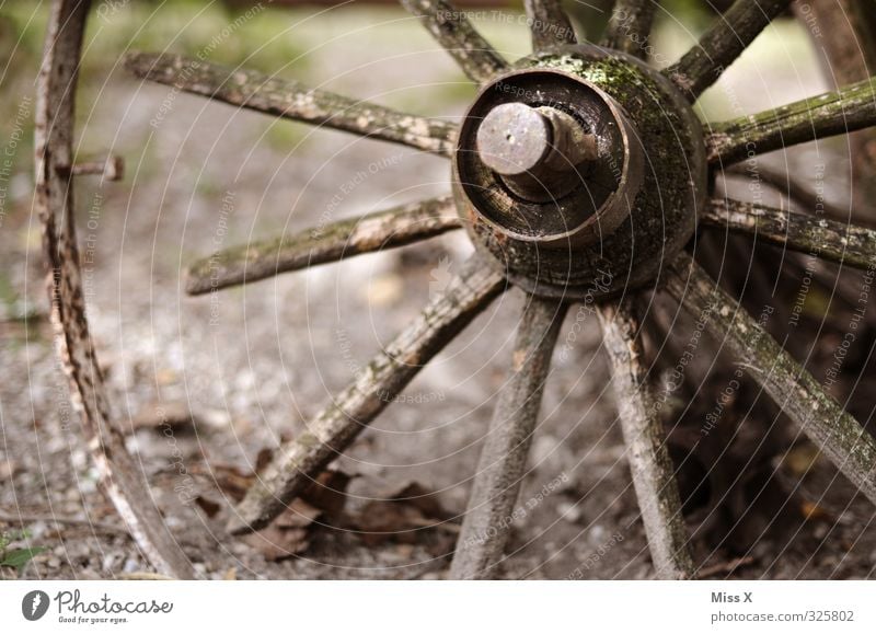 wagon wheel Moss Old Decline Past Transience Wheels Spokes Broken Rust Decompose Derelict Colour photo Subdued colour Exterior shot Close-up Deserted