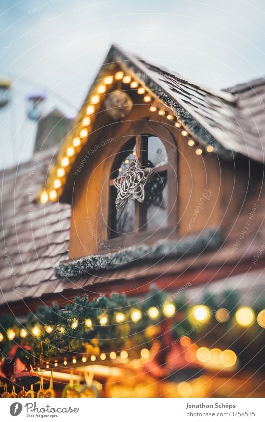 Erfurt Christmas Market Feasts & Celebrations Christmas & Advent Lighting Illuminate Warm-heartedness Peaceful Humanity Hope Public Holiday Pensive