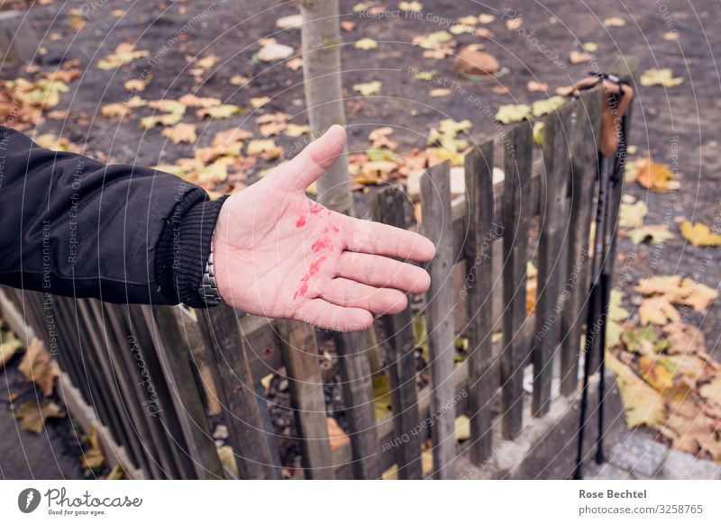 freshly painted Hand Brown Yellow Touch Redecorate Painting (action, work) Colour Colour photo Exterior shot Day