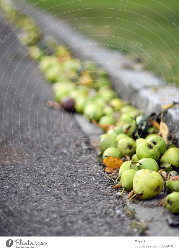 pears Food Fruit Nutrition Organic produce Autumn To dry up Delicious Sweet Mature Windfall Harvest Pear Colour photo Multicoloured Exterior shot Deserted