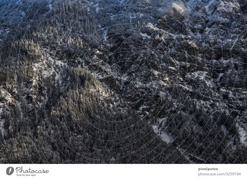 massif Winter Mountain Nature Landscape Snow Tree Forest Rock Alps Stone Adventure Cold Massive Coniferous forest panorama sunshine Panorama (View) Sunlight