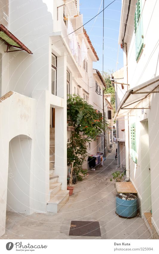 backyard thoughts Croatia Europe Village Small Town Old town Deserted House (Residential Structure) Building Wall (barrier) Wall (building) Stairs Facade Window