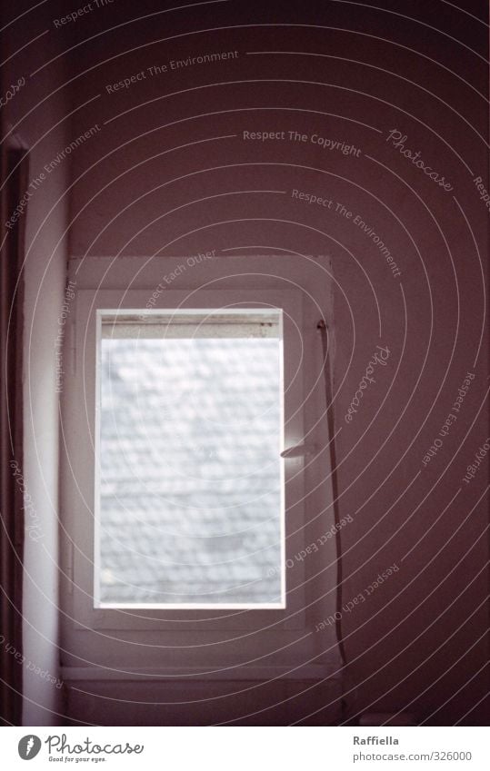 windows Small Town House (Residential Structure) Window Gray Slate Half-timbered facade Half-timbered house Door handle Vantage point View from a window