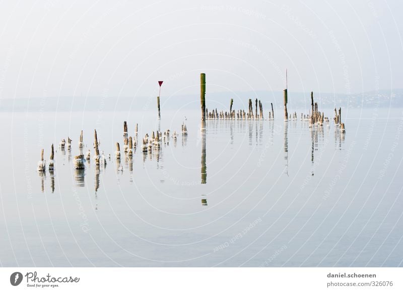 Lake Constance winter Water Sky Winter Climate Ice Frost Gray Bizarre Loneliness Cold Subdued colour Deserted Copy Space top Copy Space bottom Reflection