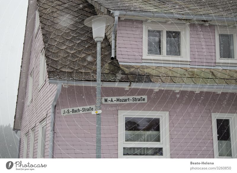 Harmonious ensemble Musician Street names Musicians' Quarter pink times Past Signs and labeling Historic voting musical drapes harmony Deserted streetlamp