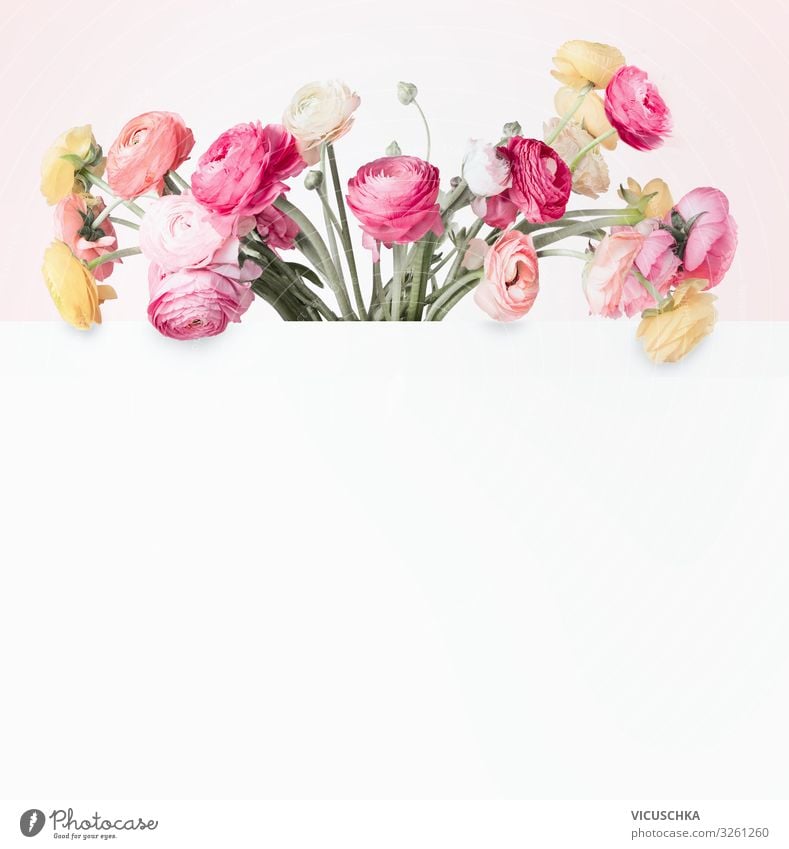 Creative flowers concept Lifestyle Design Summer Nature Plant Fashion Bouquet Jump Hip & trendy Pink creative lovely colorful buttercups bunch Conceptual design