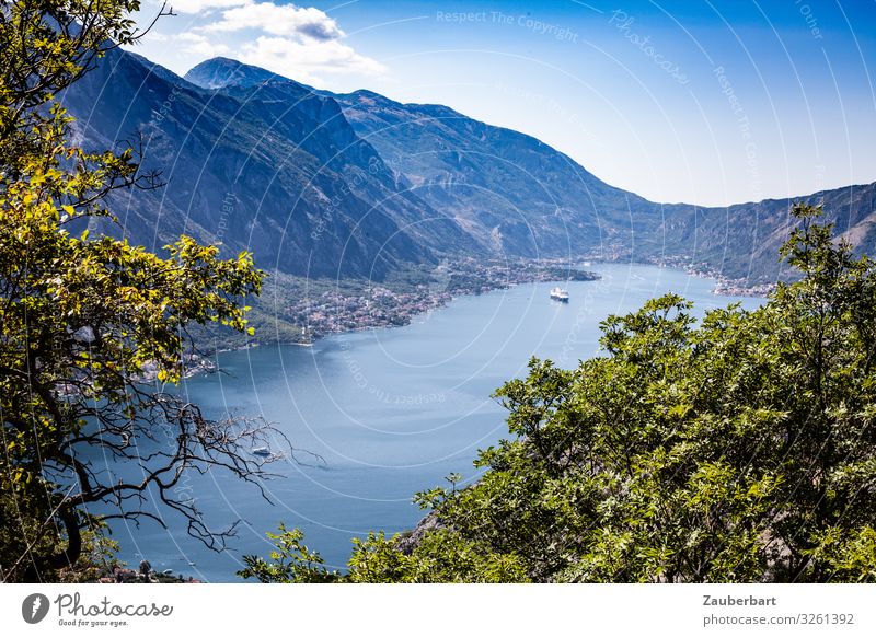 Bay of Kotor near Orahovac, Montenegro Vacation & Travel Summer Mountain Hiking Landscape Water Sky Beautiful weather Tree Coast Ocean Mediterranean sea Balkans