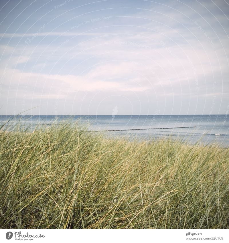 blue-green Environment Nature Landscape Plant Elements Water Sky Clouds Beautiful weather Grass Foliage plant Waves Coast Beach Baltic Sea Ocean Natural Dune