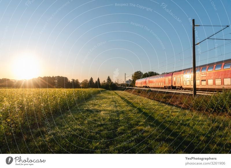 Passenger train and rapeseed field. Spring landscape at sunrise Vacation & Travel Environment Nature Sunrise Sunset Summer Transport Public transit