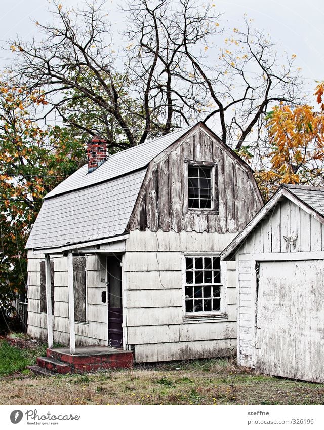 Uncle Tom the Hutt, Uncle Tom the Hutt. Autumn Tree eugene USA Village Outskirts House (Residential Structure) Detached house Ruin Facade Esthetic Gloomy White