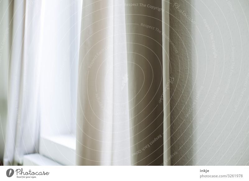 curtain in the morning Living or residing Flat (apartment) Room Window Curtain Drape Deserted Authentic Bright Clean X-rayed Beige Morning Colour photo