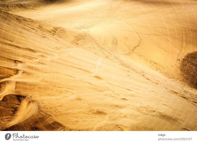 desert Nature Landscape Sand Summer Beautiful weather Warmth Desert Dry Brown Yellow Gold Far-off places Beach dune Dune Colour photo Exterior shot Deserted Day