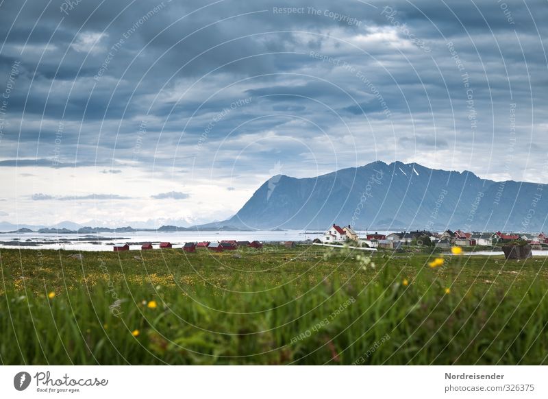 lofoten Calm Vacation & Travel Tourism Far-off places Ocean Landscape Elements Sky Clouds Climate Grass Meadow Mountain Village Fishing village