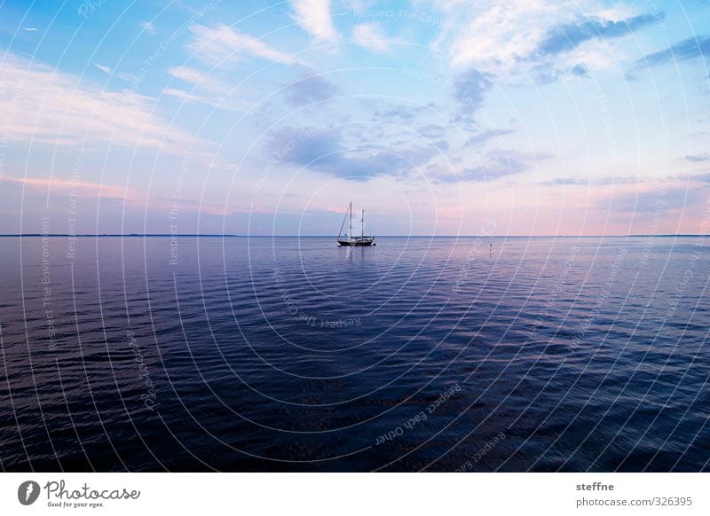 Seel' away ... Nature Water Sky Sunrise Sunset Beautiful weather Coast Ocean Baltic Sea Sailboat Calm Spirituality Idyll Romance Colour photo Wide angle