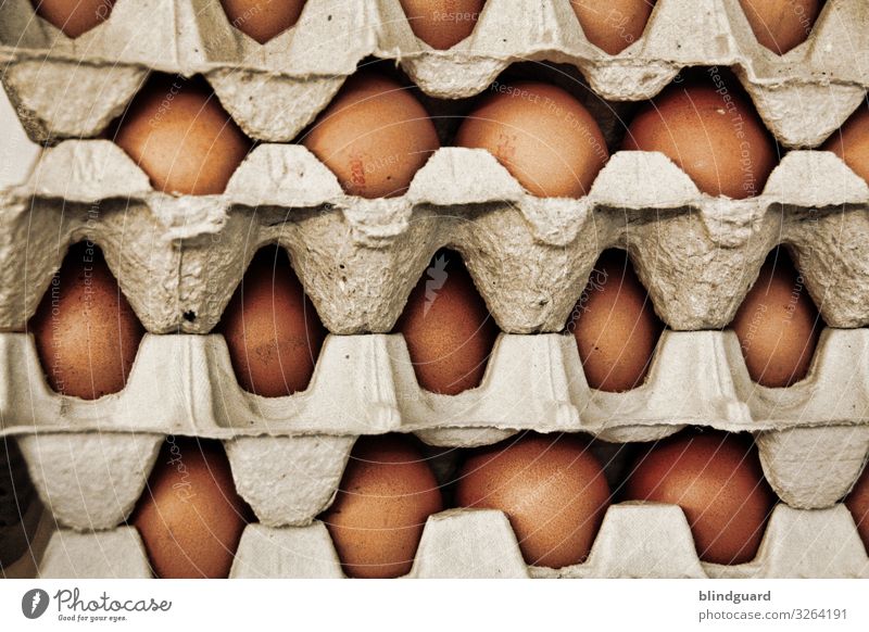 Egg egg egg... Scrambled eggs in spe Brown stacked Stack paperboard Battery farm Egg trade Hen's egg pallet sale Transport Nutrition Food Breakfast Eggshell