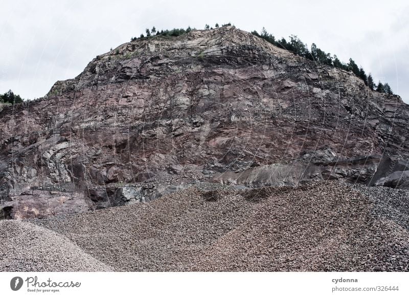 Make small Construction site Environment Nature Landscape Forest Rock Mountain Esthetic Advancement Idyll Life Planning Calm Transience Change Stone Quarry