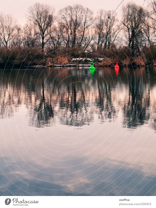 howl buoys (winter) Landscape Water Winter Snow Tree Coast River bank Gloomy Buoy Colour photo Exterior shot Copy Space bottom