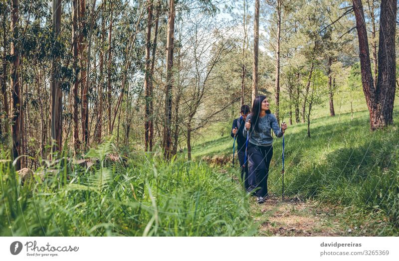 Couple of hikers doing trekking Lifestyle Vacation & Travel Trip Adventure Mountain Hiking Sports Climbing Mountaineering Human being Woman Adults Man Nature