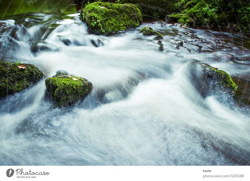 Ripping River Environment Nature Landscape Plant Elements Water Moss Rock River bank Oasis Stone Growth Fantastic Fresh Sustainability Wet Natural Speed