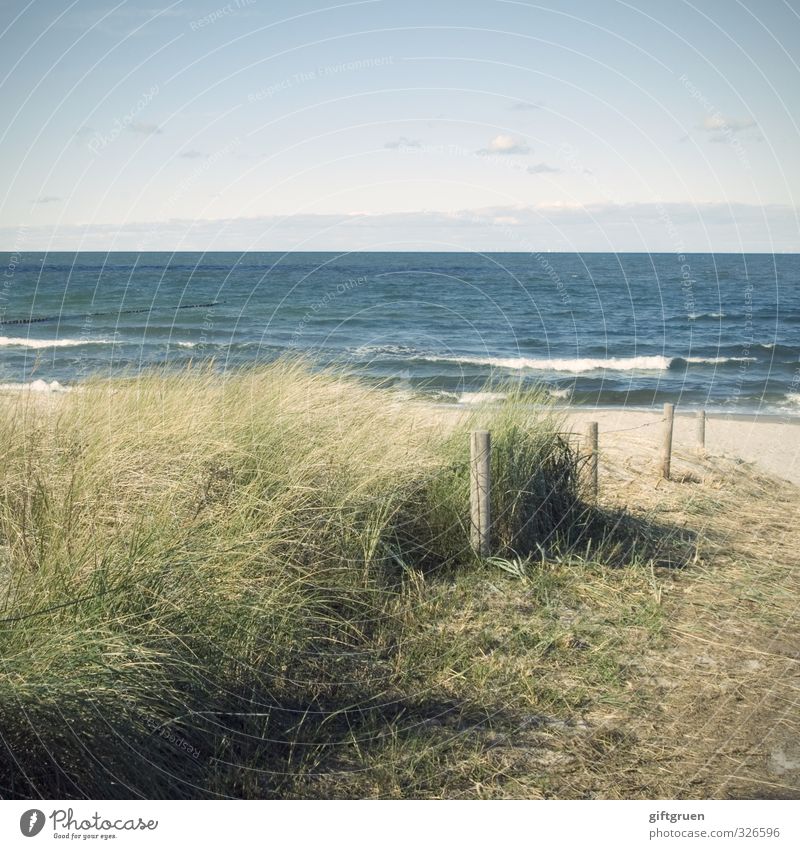 Day at the sea Environment Nature Landscape Elements Sand Water Sky Sun Summer Climate Weather Beautiful weather Plant Grass Foliage plant Waves Coast Beach