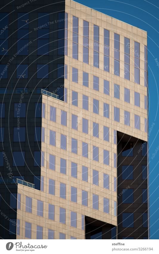 Facade I Town House (Residential Structure) High-rise Light and shadow Cloudless sky Evening sun Modern architecture Vancouver Geometry 2-dimensional Silhouette