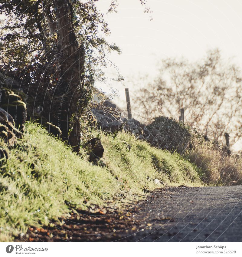 British Street II Environment Nature Landscape Great Britain England Village Simple Pavement Deserted Empty Sunbeam Travel photography Country road Asphalt