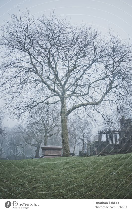 Glasgow fog VIII Great Britain Scotland Old Esthetic Dark Gloomy Gray Fog Ambiguous Unclear Concealed Dreary Historic Creepy Cold Colour photo Subdued colour