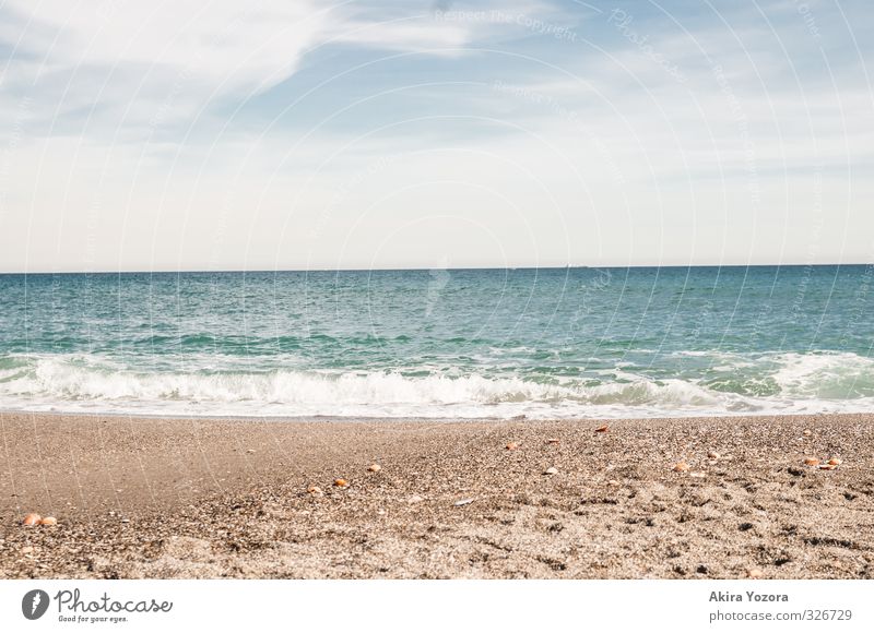 Meet the Ocean Nature Sand Water Sky Clouds Horizon Summer Beautiful weather Waves Coast Beach Swimming & Bathing Touch Relaxation To enjoy Wet Blue Orange