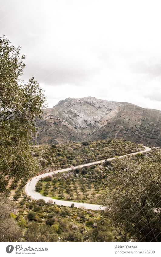 Road to nowhere Nature Landscape Sky Clouds Tree Bushes Mountain Traffic infrastructure Street Lanes & trails Observe Movement Vacation & Travel Natural Gloomy