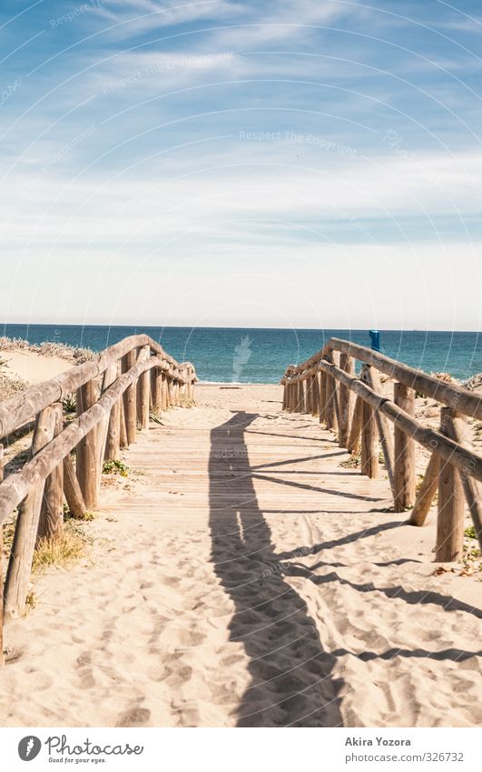 Towards the sea Nature Landscape Sand Water Sky Clouds Summer Beautiful weather Coast Beach Ocean Swimming & Bathing Discover Relaxation Wet Blue Brown Yellow