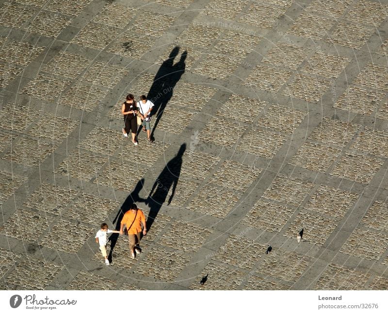 Shadow 2 Human being Story Child Pigeon Bird Group Ground Movement Corner