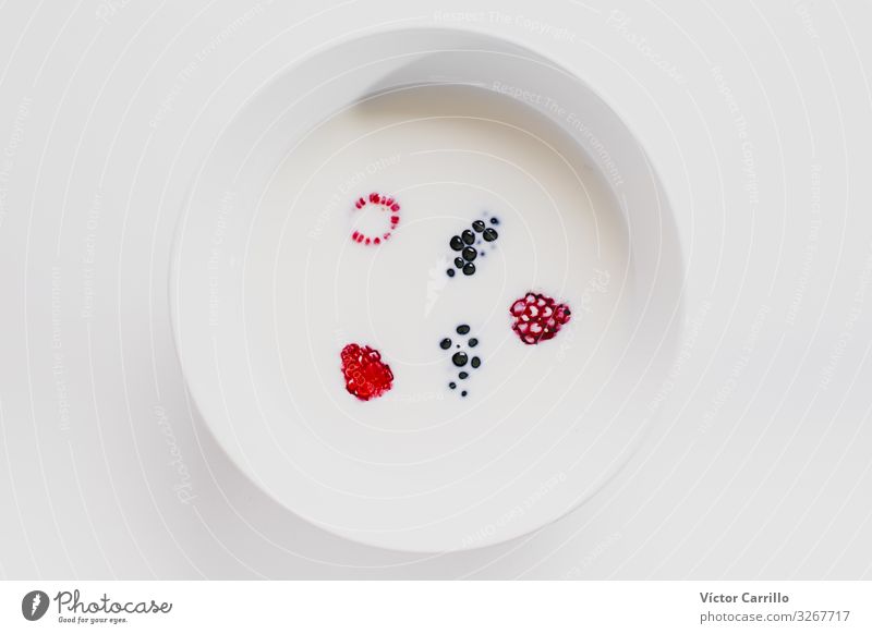 Milk and berries in a clean composition Nutrition Eating Breakfast Authentic Simple Interior shot Studio shot Close-up Deserted Copy Space left