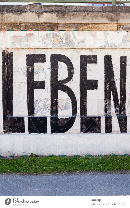 LIFE | Written Meadow Wall (barrier) Wall (building) Characters Graffiti Life Resume Colour photo Exterior shot Deserted Copy Space top Copy Space bottom Day