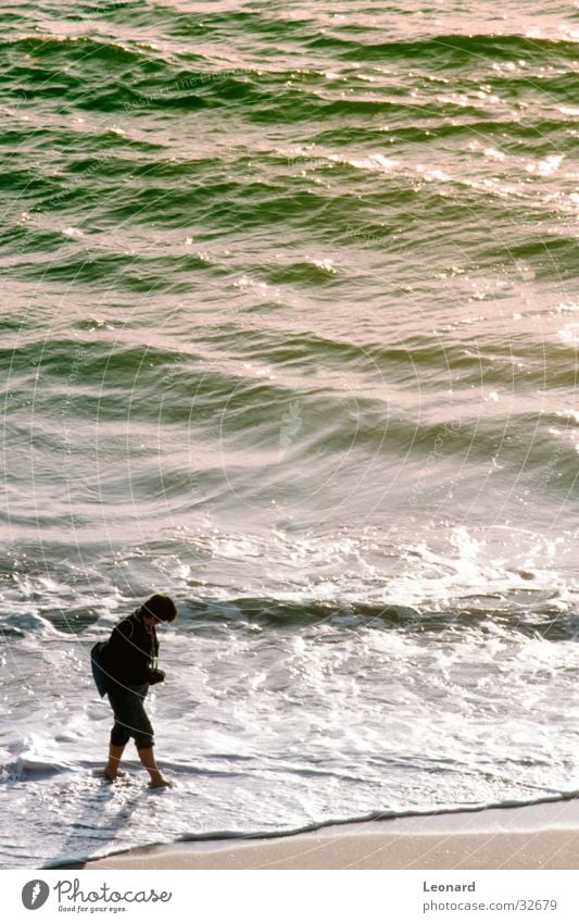 beach Woman Beach Ocean Waves Coast Human being Water Colour Sun Sand