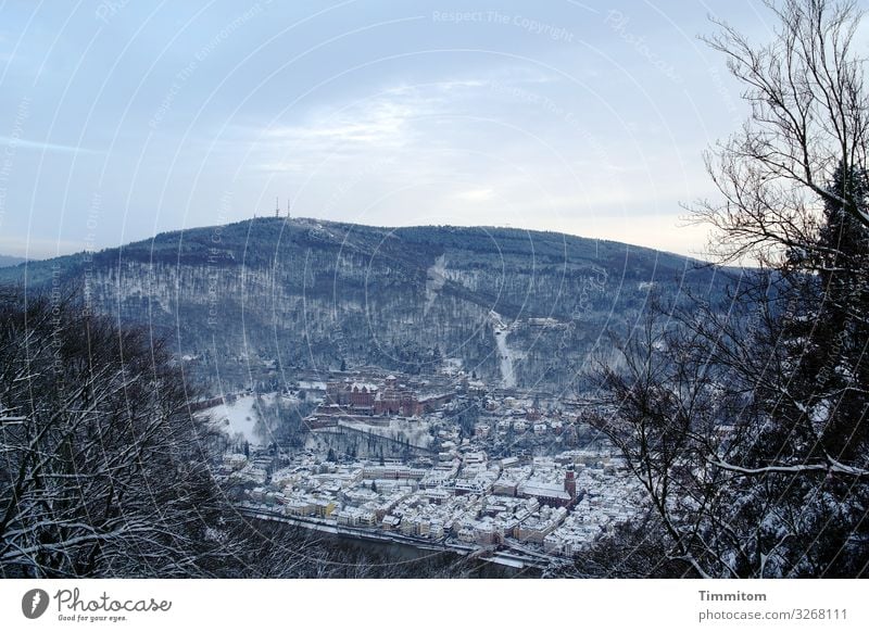 Heidelberg in Winter (1) Vacation & Travel Environment Nature Landscape Plant Ice Frost Snow Tree Bushes Forest Hill Castle Ruin Tourist Attraction