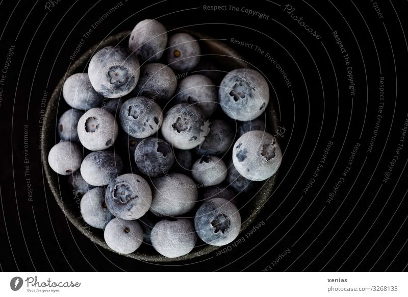 frozen blueberries in black skin in front of black background Blueberry Organic produce Vegetarian diet Diet Vegan diet Bowl Healthy Fresh Cold Delicious Round