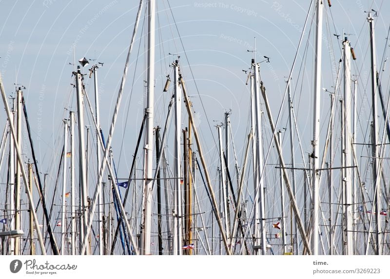 Rope teams (XV) Navigation Sailboat Sailing ship Harbour Yacht harbour Mast Dew Rigging Wood Metal Together Life Endurance Unwavering Surprise Movement