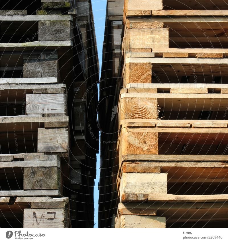 confidence man Trashy structure Wood Brown daylight Second-hand Sunlight Shadow New Old forehead wood pallet wooden pallet Stack lines stacked Tall