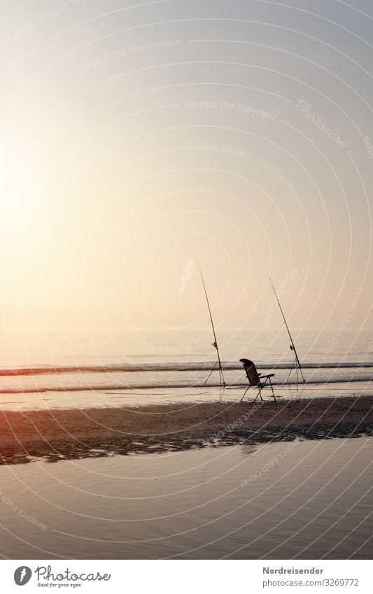 shore angling in the North Sea Beach Ocean Water Sun Evening Fishing (Angle) angel surf fishing Moody Back-light Sunset wave Summer warm vacation Flatfishes