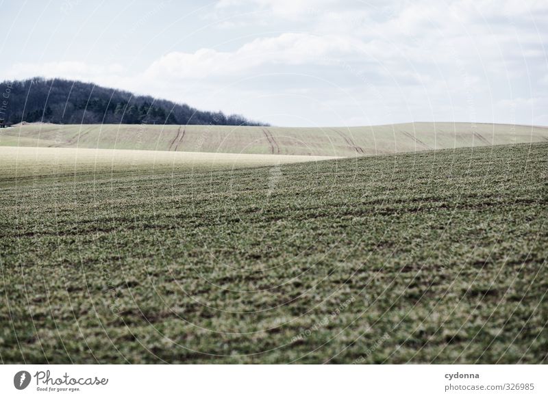 Gentle waves Far-off places Freedom Agriculture Forestry Environment Nature Landscape Sky Spring Beautiful weather Grass Meadow Field Hill Beginning Esthetic