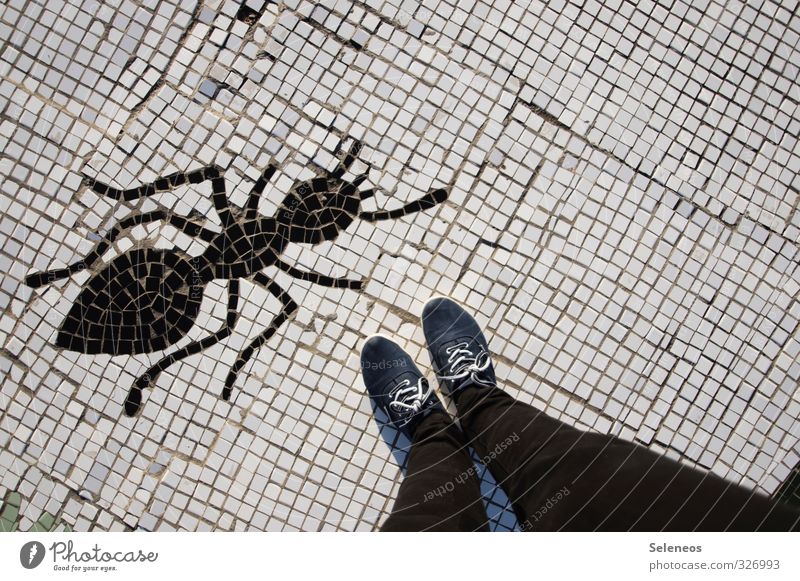 on Human being Legs Feet 1 Pants Jeans Footwear Animal Ant Insect Stone Sign Threat Large Small Creativity Art Nature Mosaic Colour photo Exterior shot Day